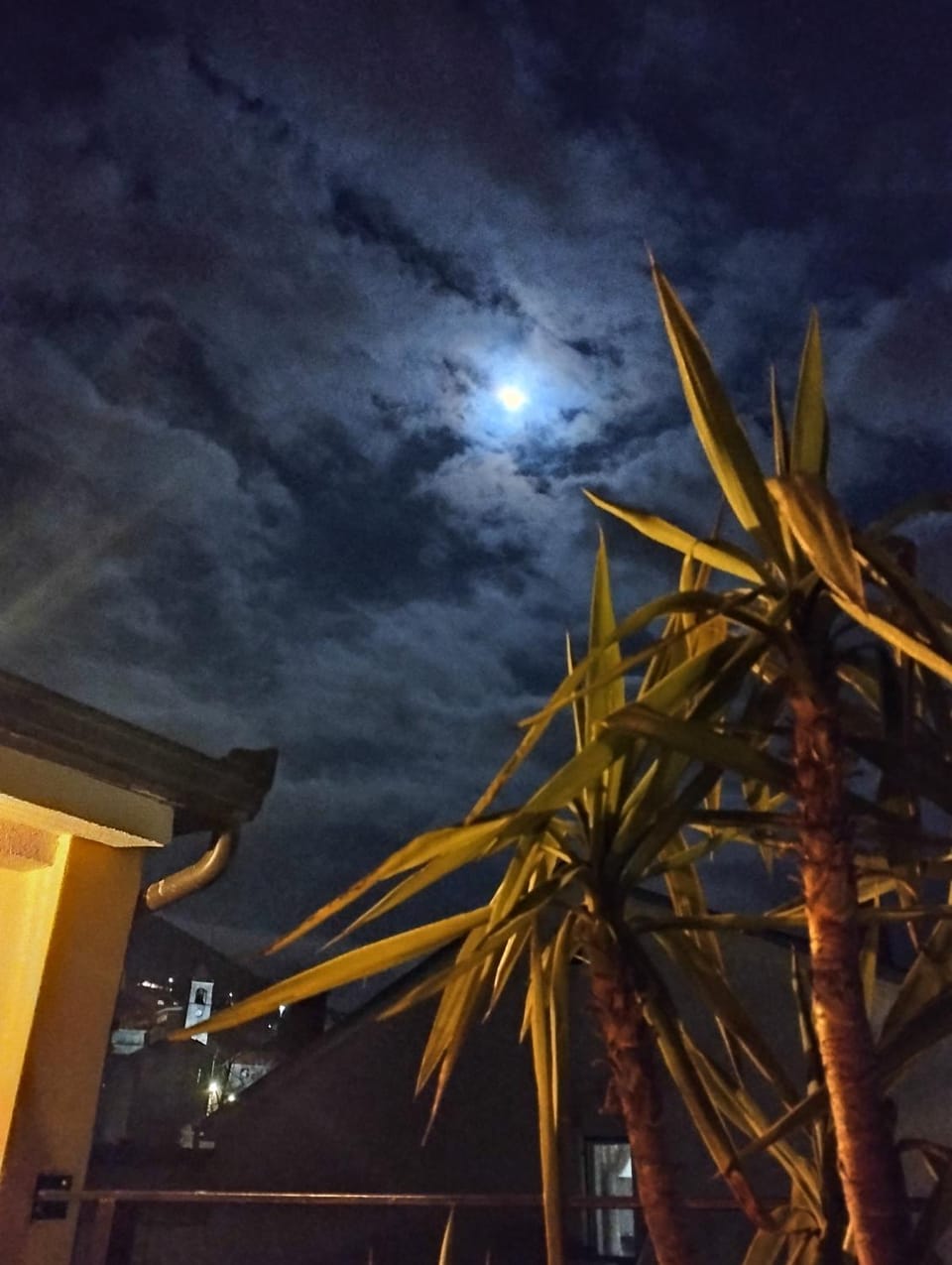 View (from property/room), Mountain view