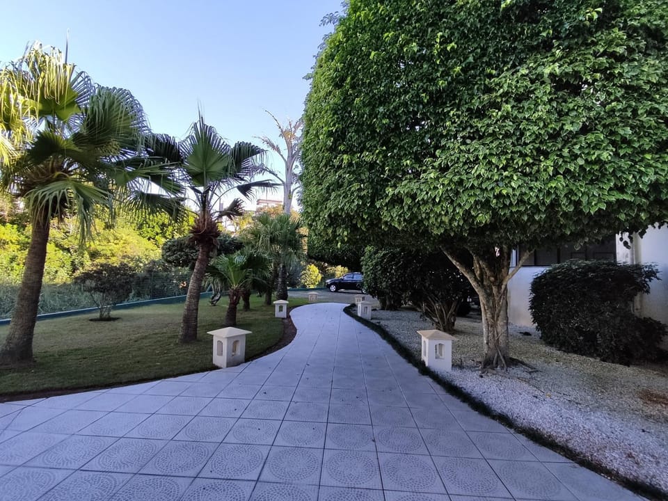 Day, Natural landscape, Garden view