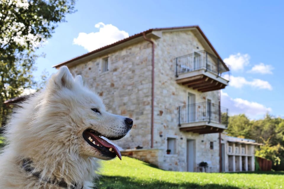 Property building, Day, Pets