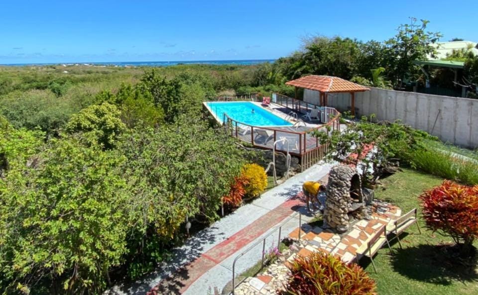 Natural landscape, Garden view, Pool view, sunbed