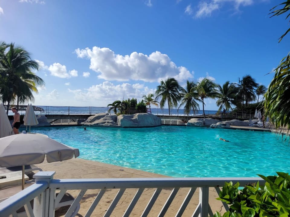 Natural landscape, Pool view, Sea view, Swimming pool, sunbed