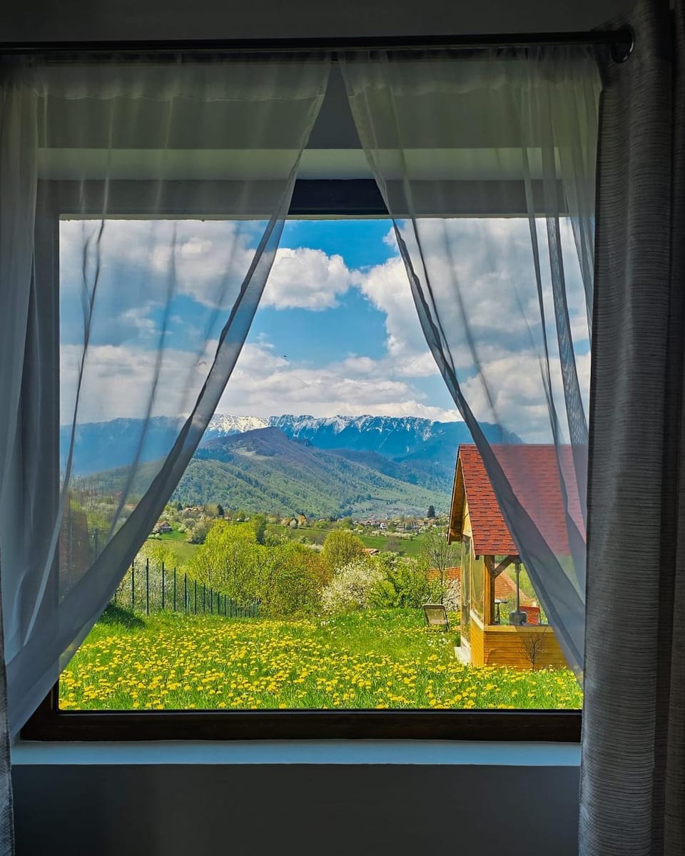 Ammon Mountain Villas Chalet in Brașov County