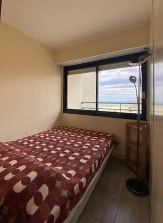 Charmant T2 pour 4 personnes terrasse vue mer, ascenseur - 4CASI402 Charming one bedroom apartment Apartment in Canet-en-Roussillon