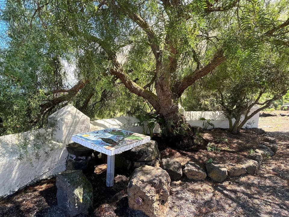 Casa Los Calderos House in La Palma