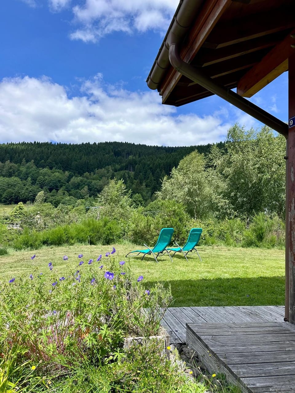 Natural landscape, Garden, Garden view, Mountain view, sunbed