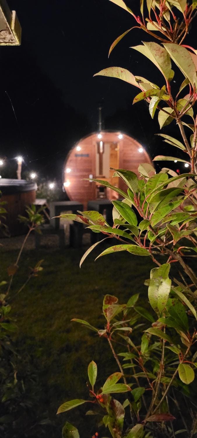 Night, Garden, Hot Tub, Sauna