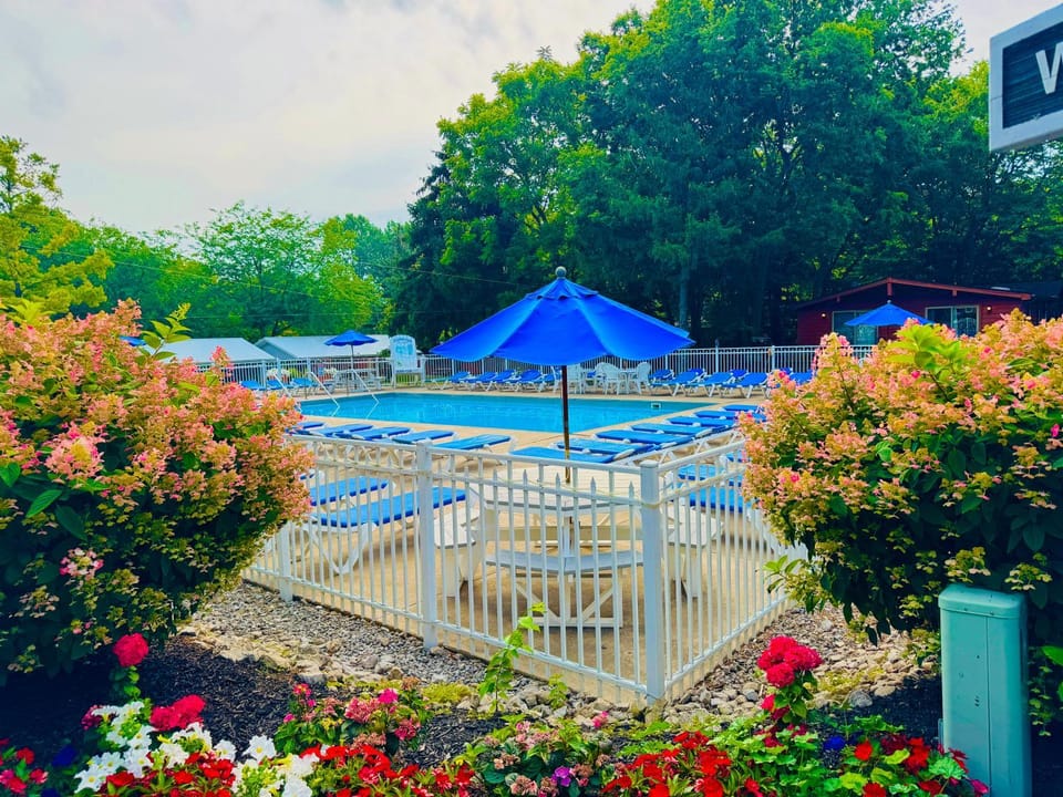 Swimming pool, sunbed