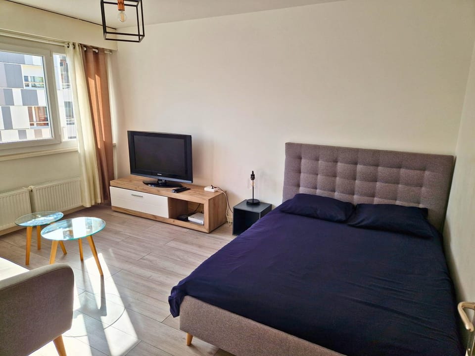 Studio avec cuisine séparée tout proche de la gare Apartment in Annemasse