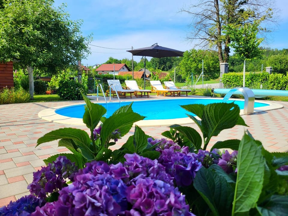 Day, Pool view, Swimming pool, sunbed