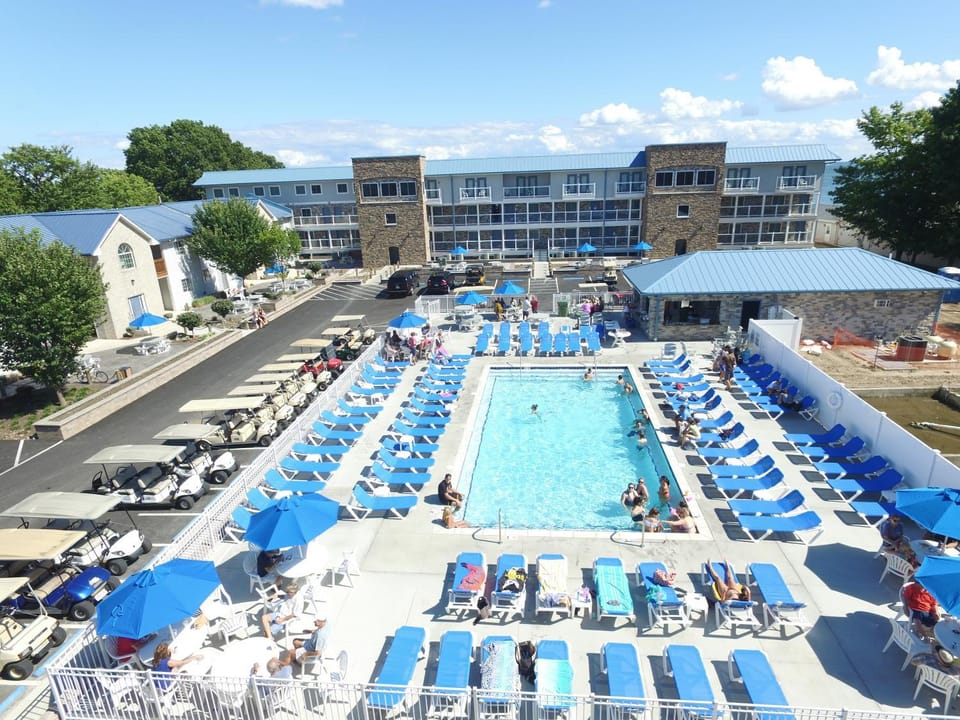 Swimming pool, Swimming pool