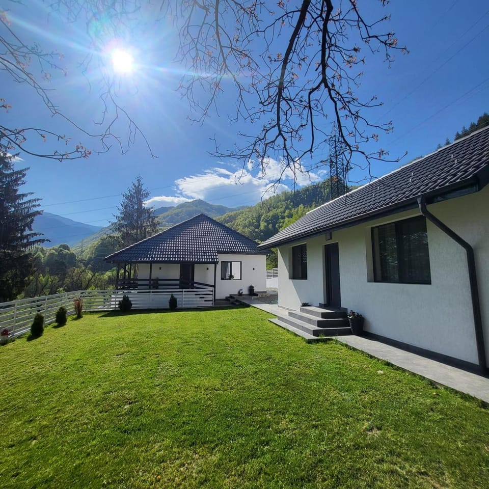 Natural landscape, Garden, Mountain view