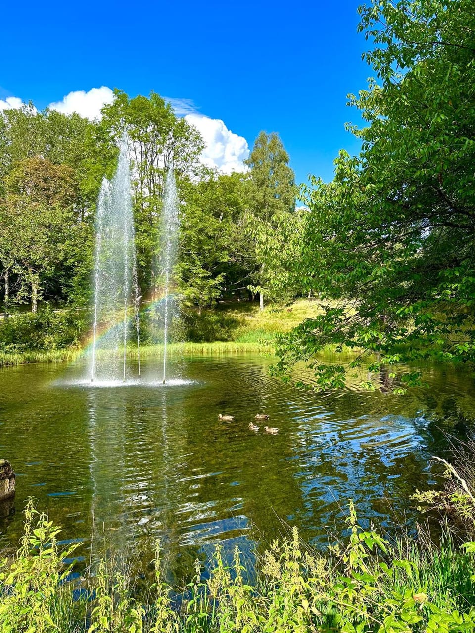 Garden, Lake view