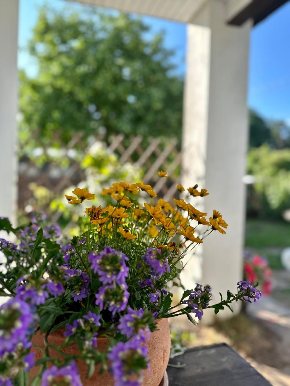 Garden, Garden view