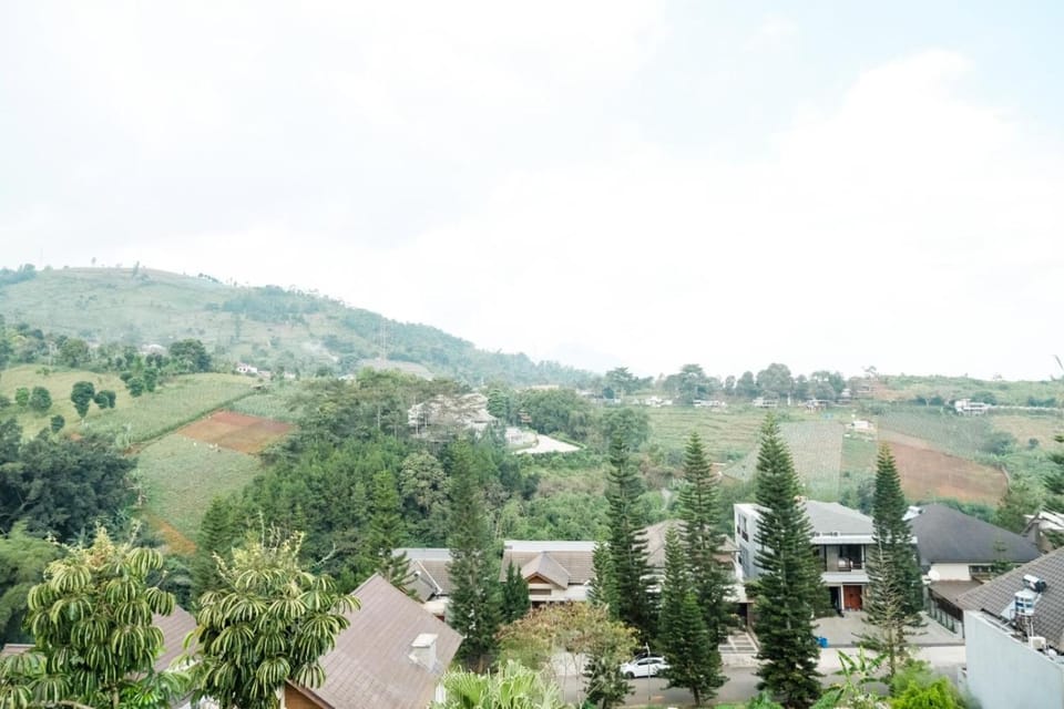 View (from property/room)