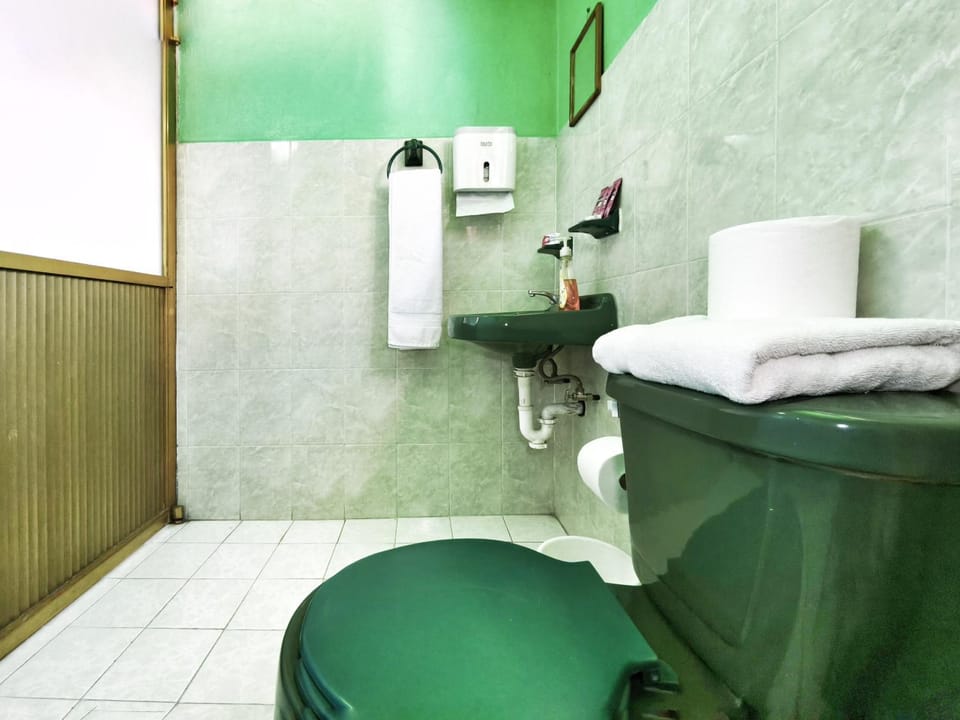 Toilet, Bathroom, towels