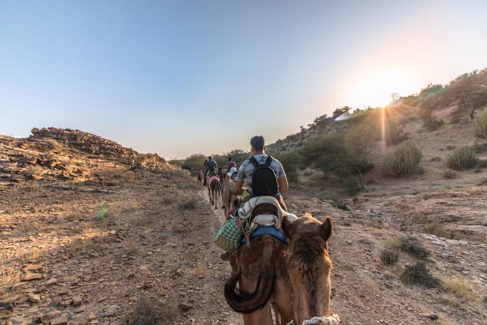 Day, Activities, Sunset, group of guests