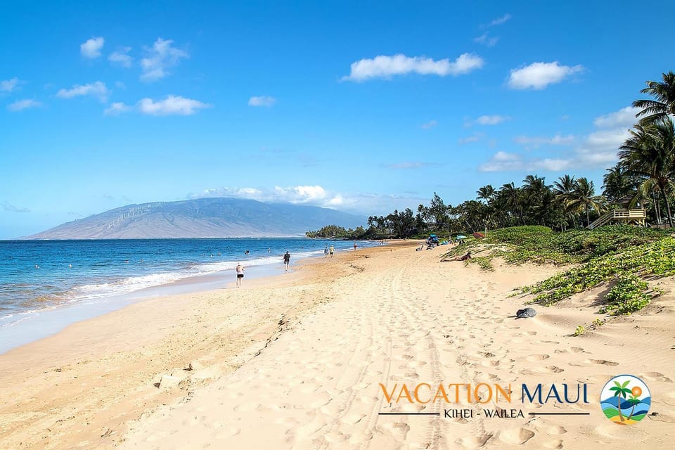 Maui Vista 3-102 - Near Great Snorkeling Beach House in Kihei