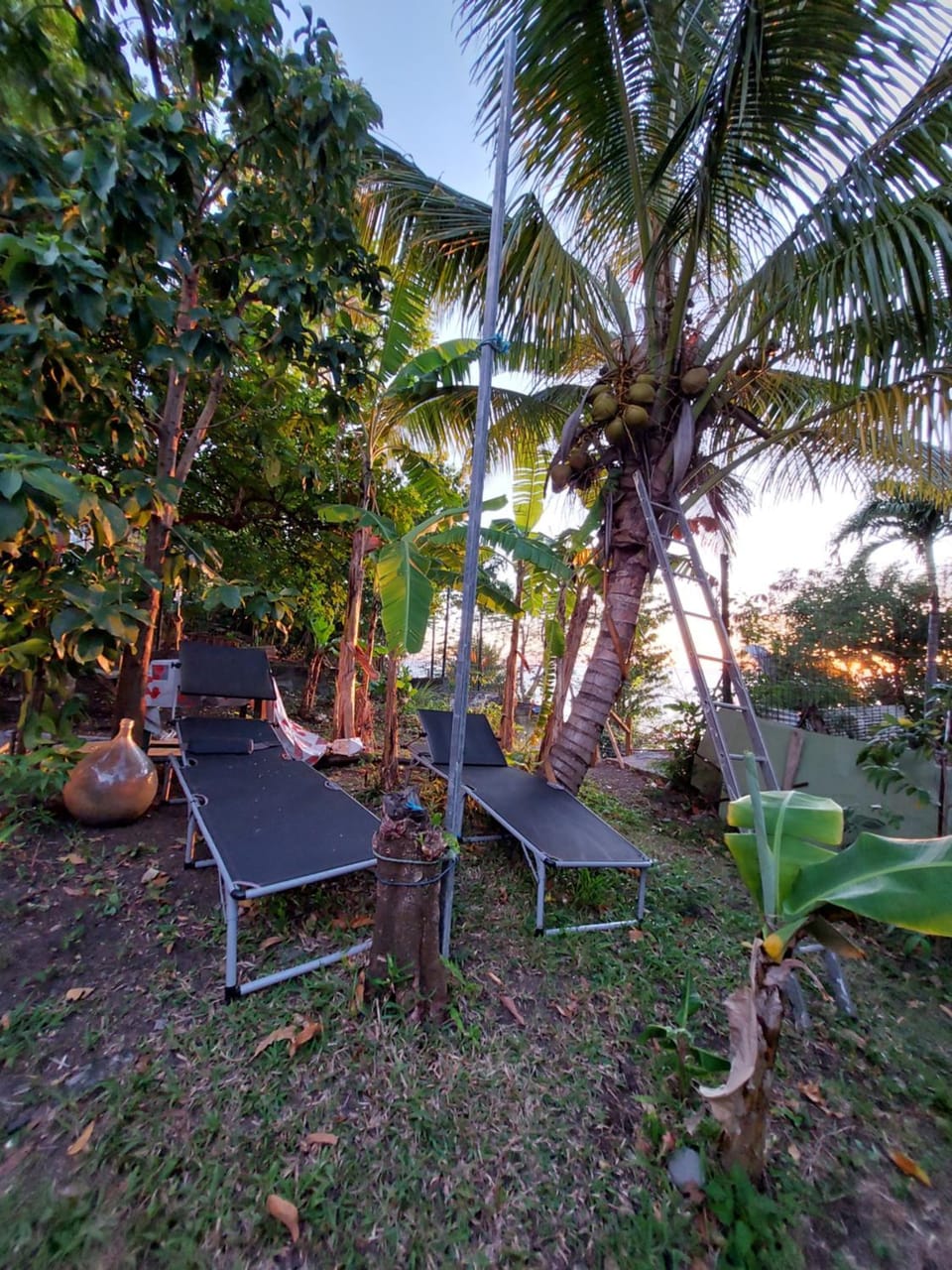 Day, Natural landscape, Garden, Garden view, sunbed