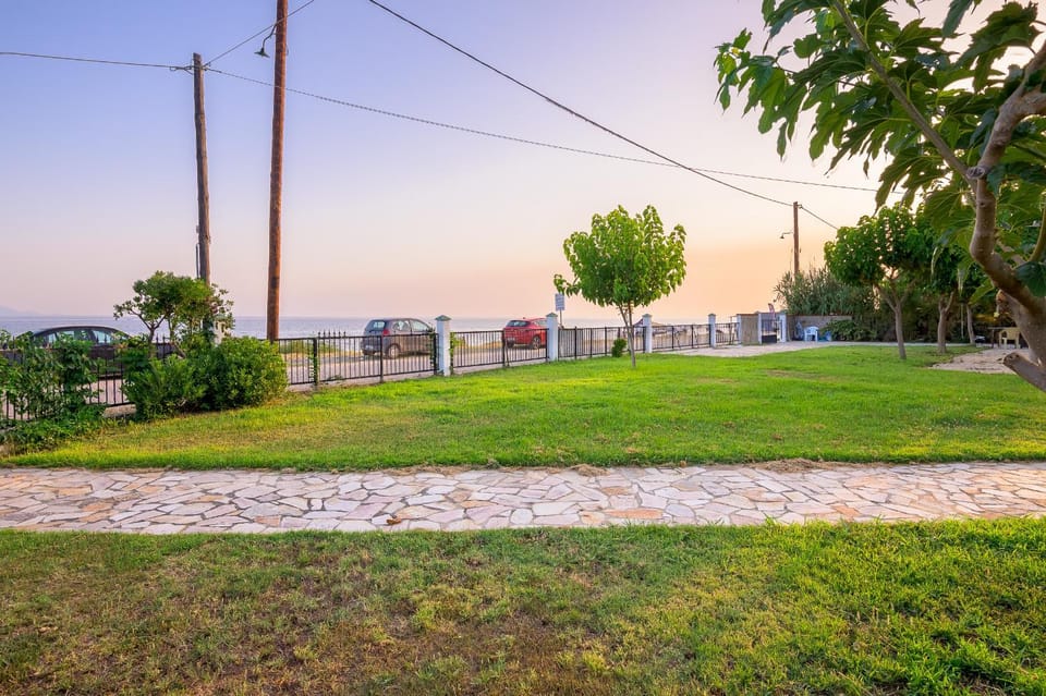 Natural landscape, Garden, Garden view, Sunset