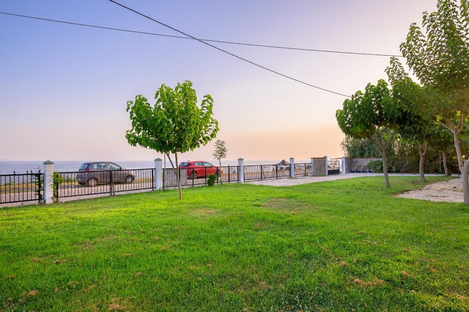 Natural landscape, Garden, Garden view