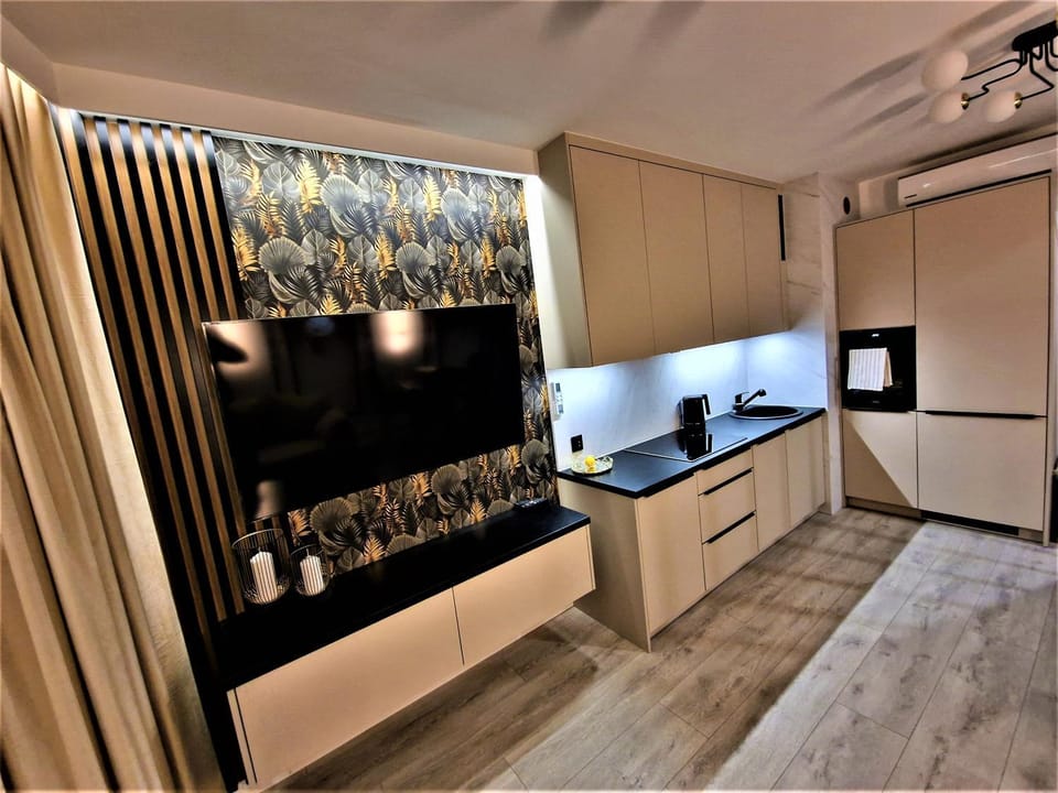 TV and multimedia, Kitchen or kitchenette, minibar, oven, pet friendly, air conditioner