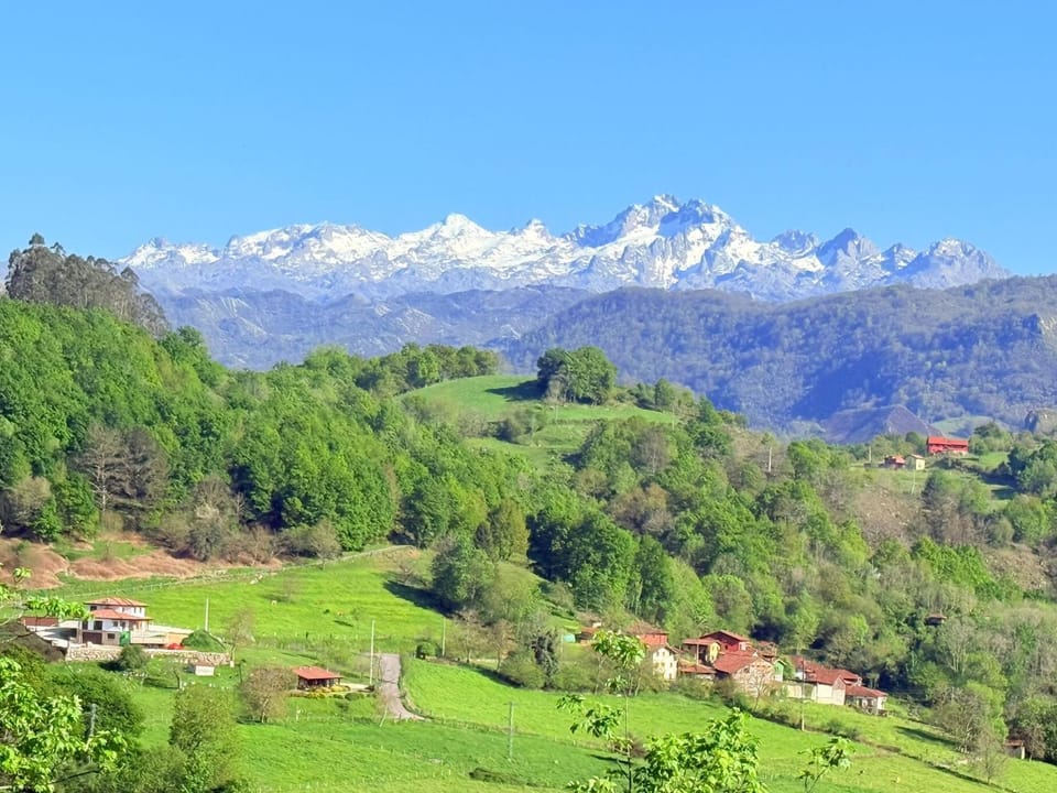 Natural landscape