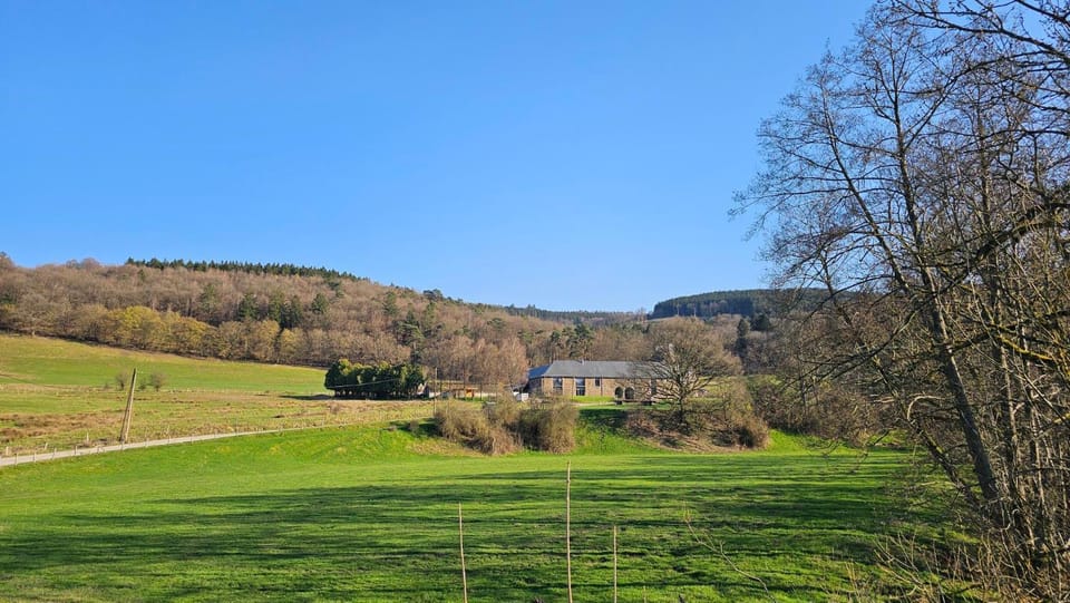 View (from property/room)