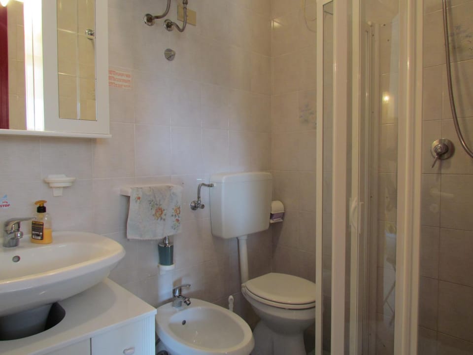 Shower, Toilet, Bathroom, bidet