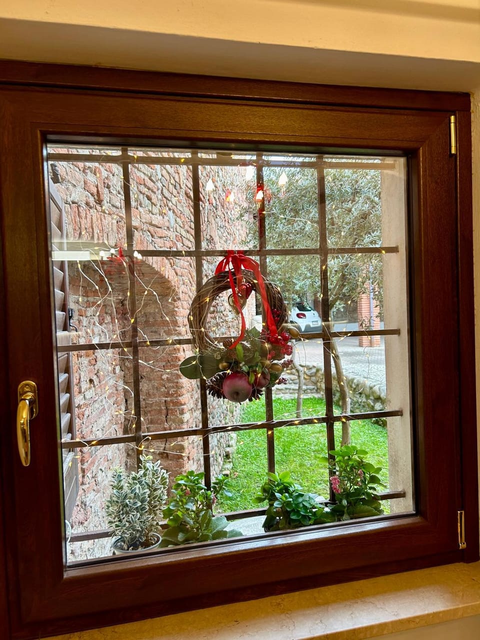 Garden view