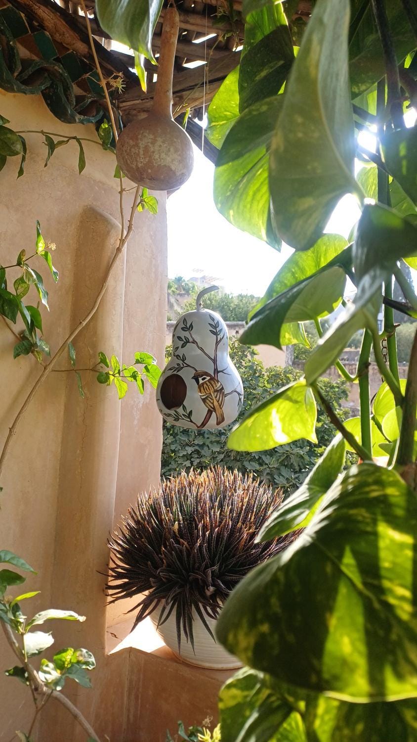 Studio Jasmine, New Apartment in Fes