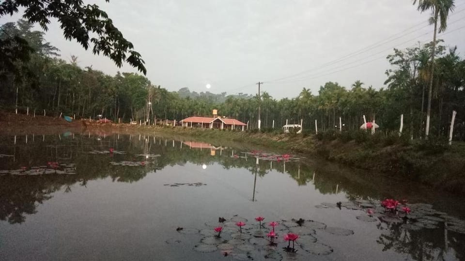 Natural landscape