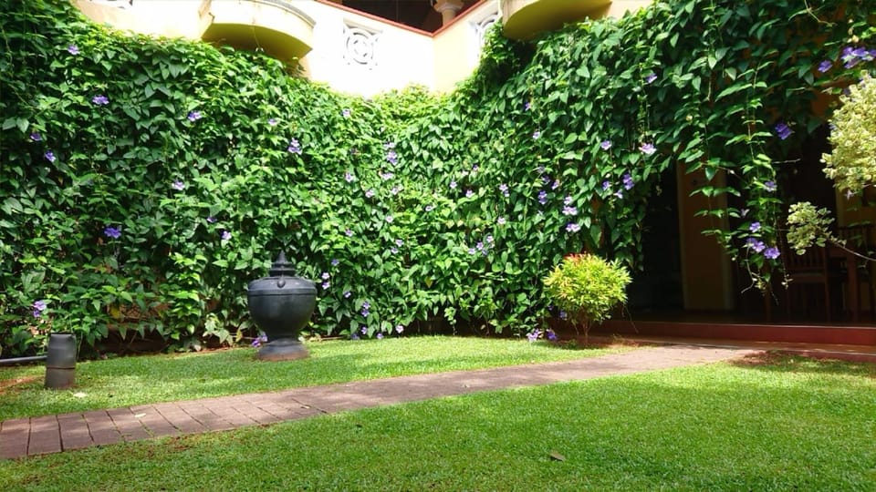 Garden, Garden view