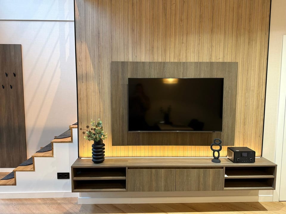 TV and multimedia