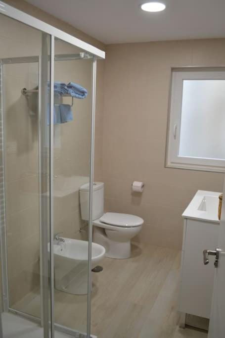 Shower, Toilet, Bathroom, bidet