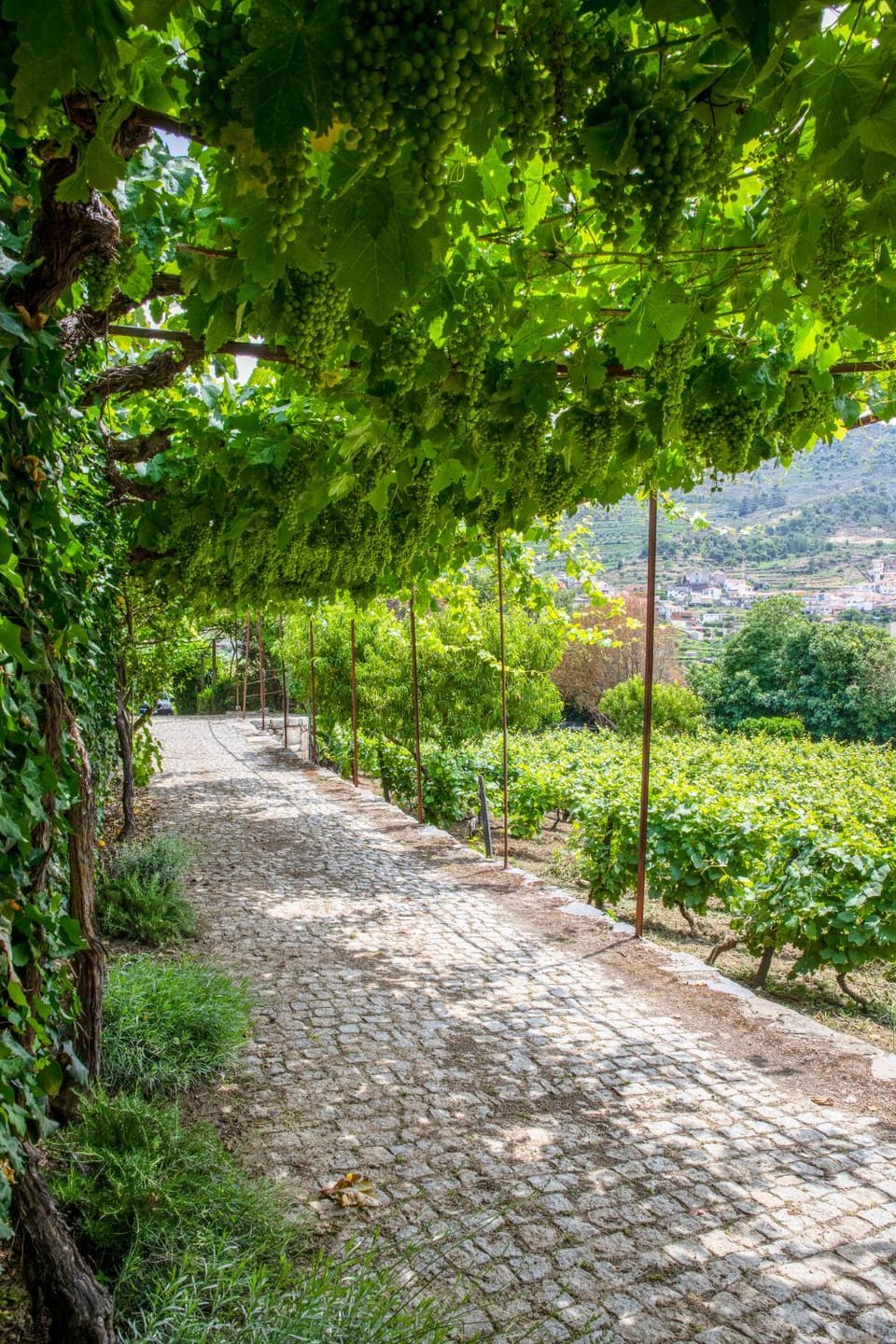 Casa de São Bernardo by LovelyStay House in Vila Real District