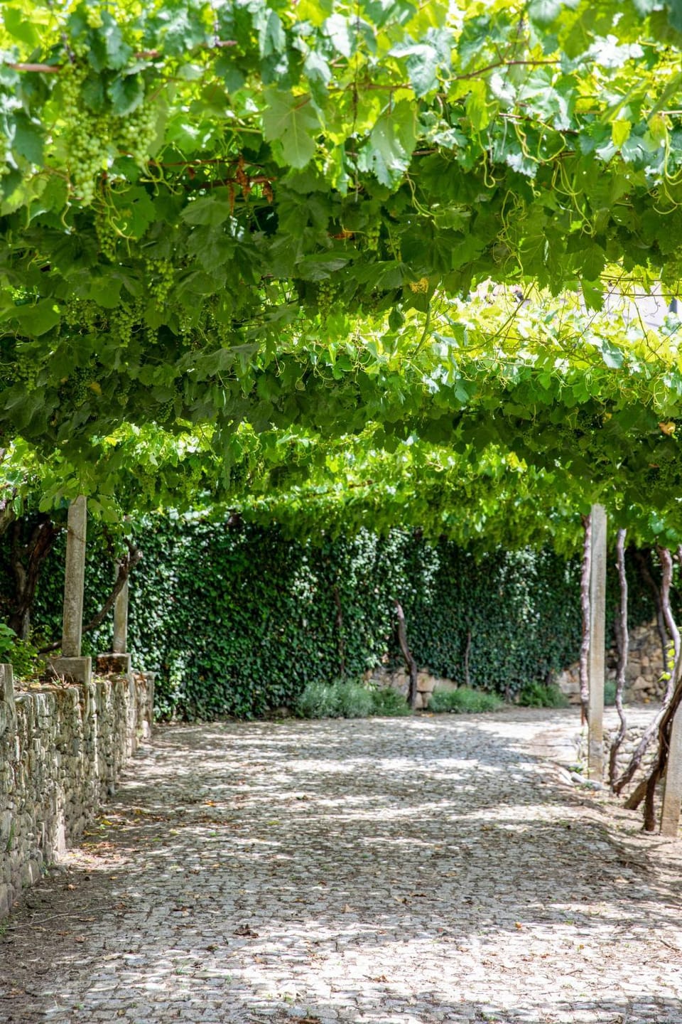 Casa de São Bernardo by LovelyStay House in Vila Real District
