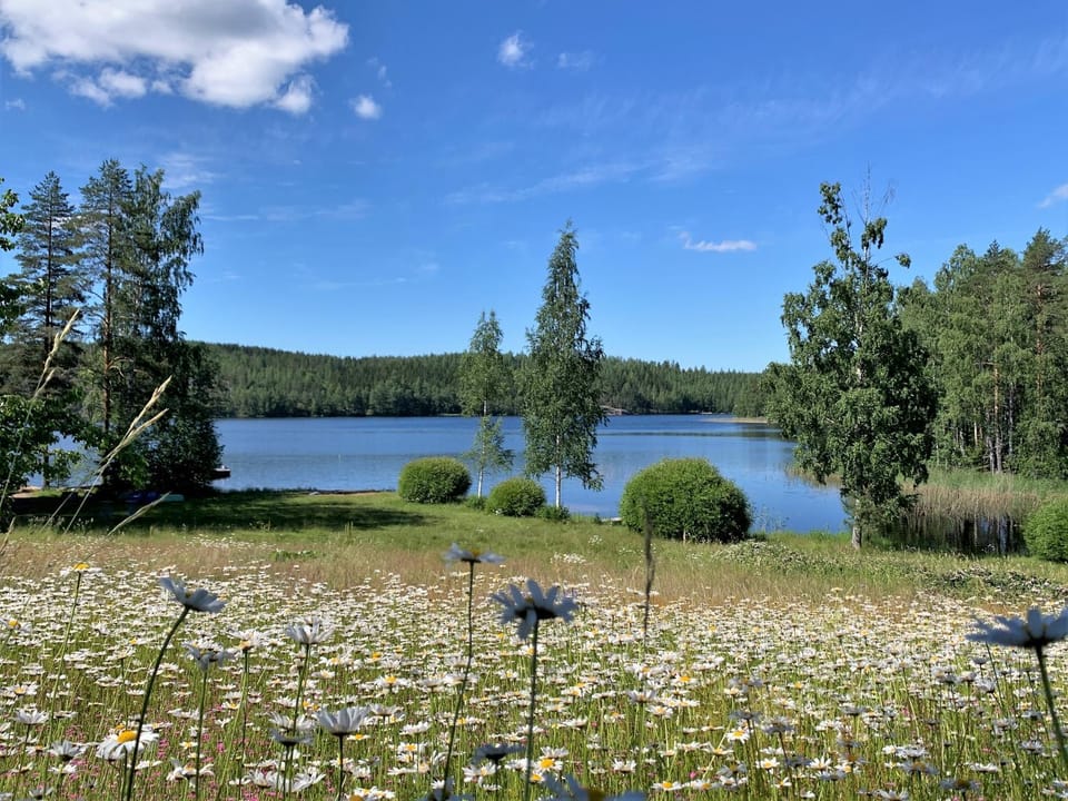 Natural landscape, Garden, Lake view