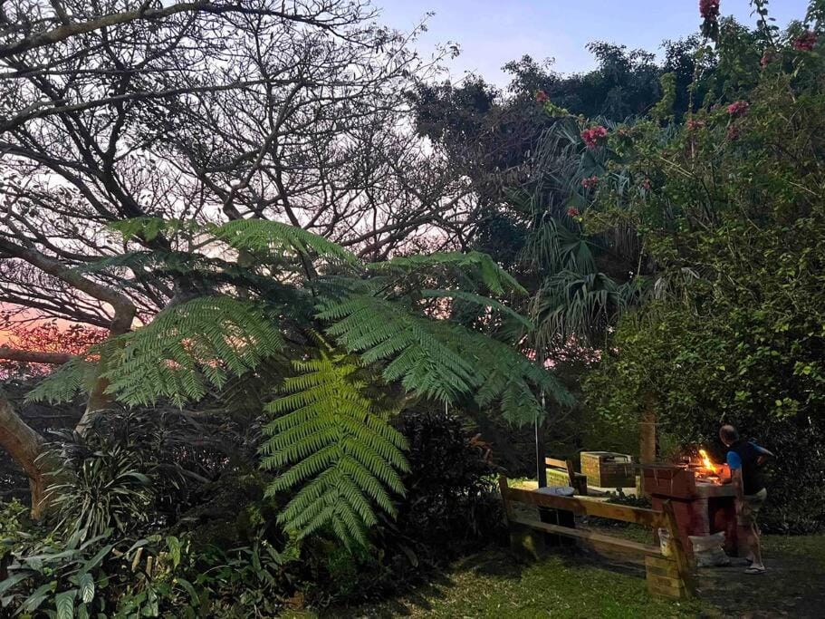 Garden view