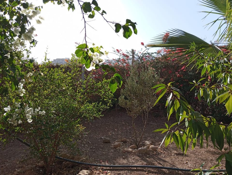 Mountain & Ocean Villa House in Souss-Massa