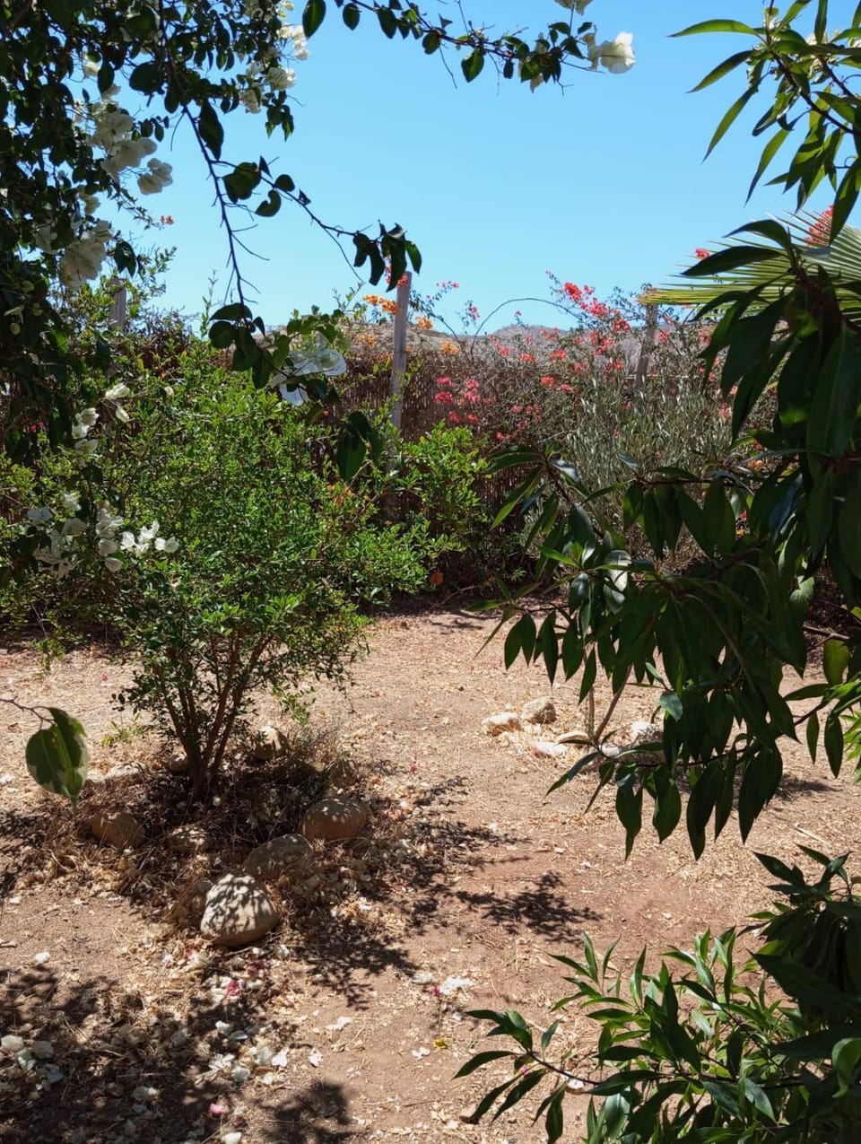 Mountain & Ocean Villa House in Souss-Massa