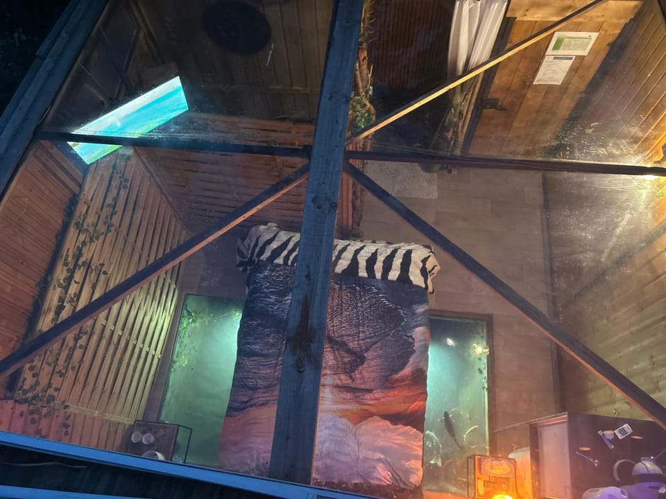 l'aquarium Campground/ 
RV Resort in Brignoles