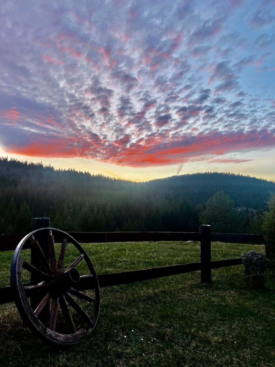 Natural landscape, Garden, Mountain view, Sunset