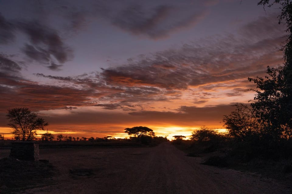 Sunrise