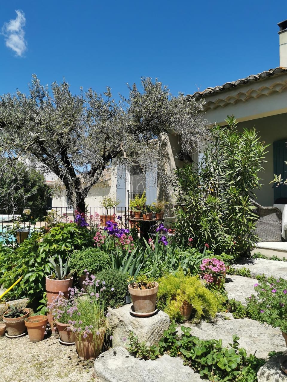 Chambre dans verdure Provençale Bed and Breakfast in Provence-Alpes-Côte d'Azur