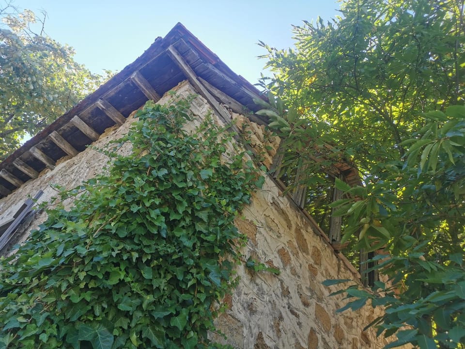 Dendrocopos Medius House in Halkidiki