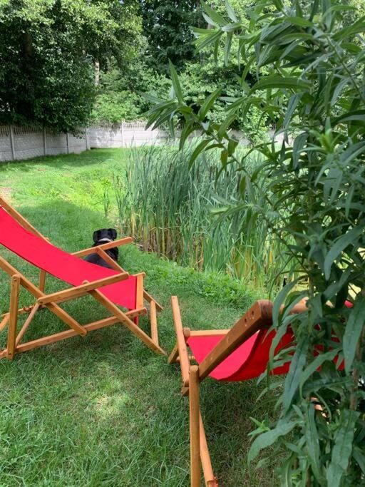 Natural landscape, Garden, sunbed