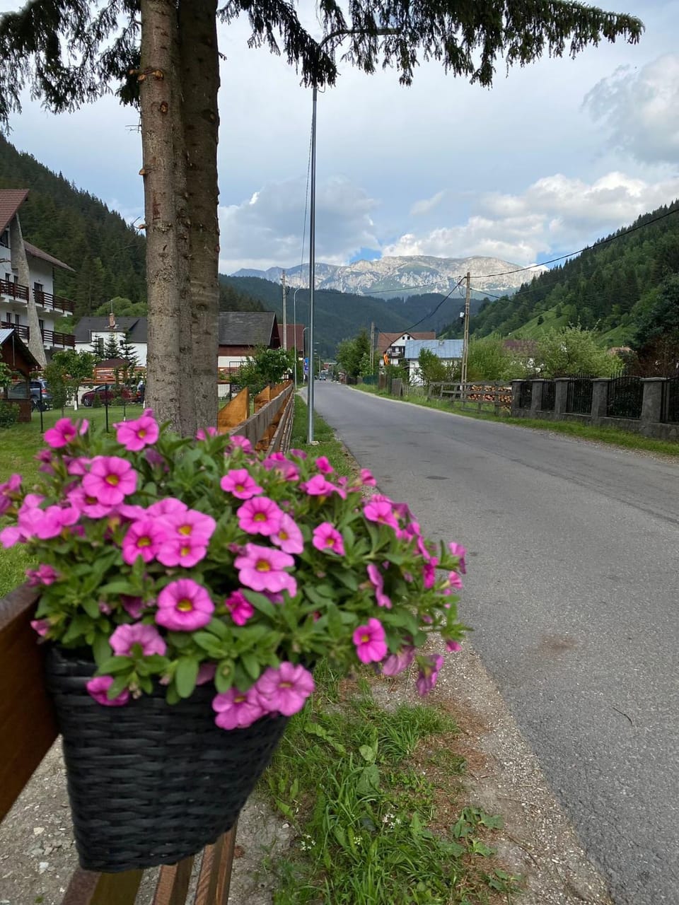 Casa Eden Bed and Breakfast in Brașov County