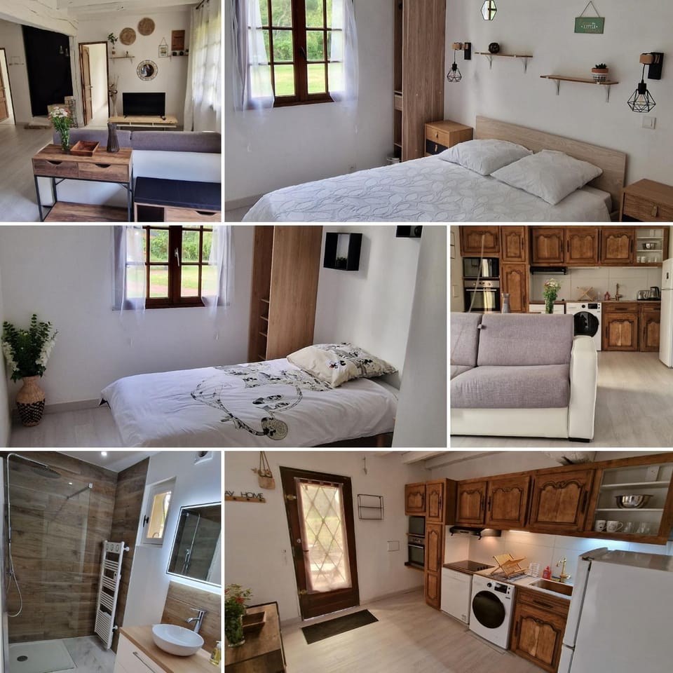 Bed, Kitchen or kitchenette, Living room, Seating area, Bedroom, minibar