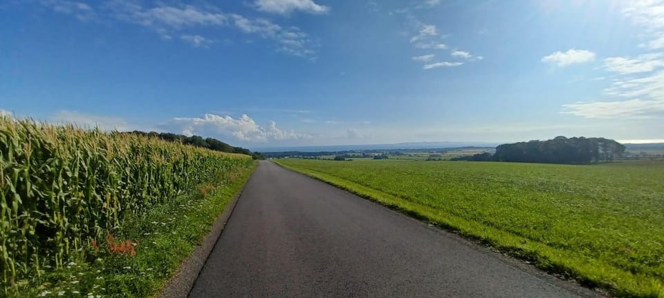 Natural landscape