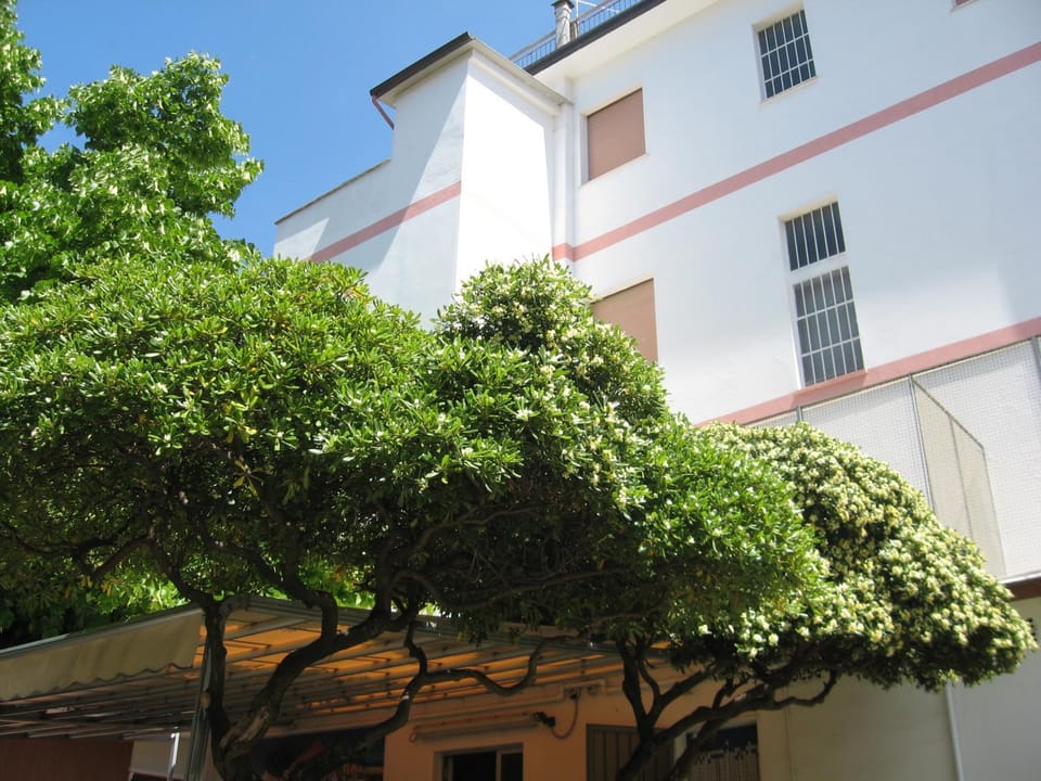 Hotel Eleonora Hotel in Rimini